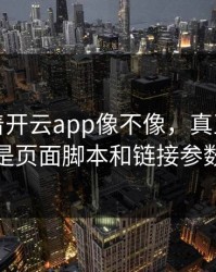 别只盯着开云app像不像，真正要看的是页面脚本和链接参数