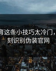 开云体育这条小技巧太冷门，却能立刻识别伪装官网