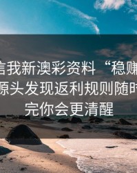有人私信我新澳彩资料“稳赚”链接，我追到源头发现返利规则随时改：读完你会更清醒
