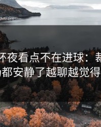 解放者杯夜看点不在进球：裁判那一下现场都安静了越聊越觉得不简单