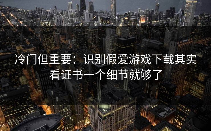 冷门但重要：识别假爱游戏下载其实看证书一个细节就够了