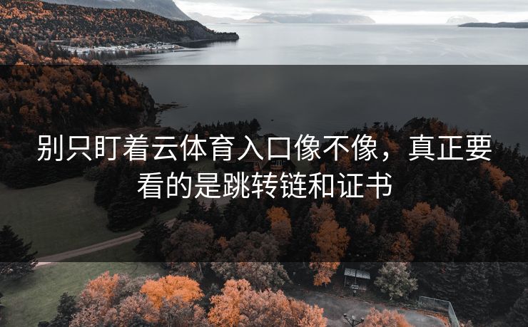 别只盯着云体育入口像不像，真正要看的是跳转链和证书