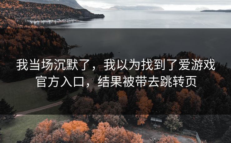 我当场沉默了，我以为找到了爱游戏官方入口，结果被带去跳转页