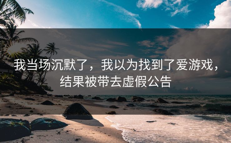我当场沉默了，我以为找到了爱游戏，结果被带去虚假公告